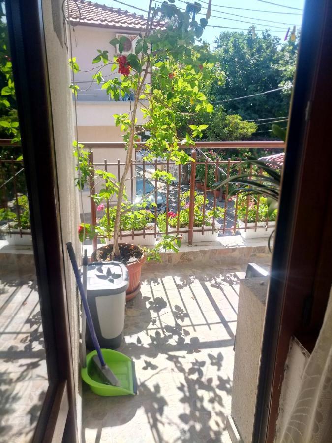 Farlalievi Guest House ソゾポル エクステリア 写真